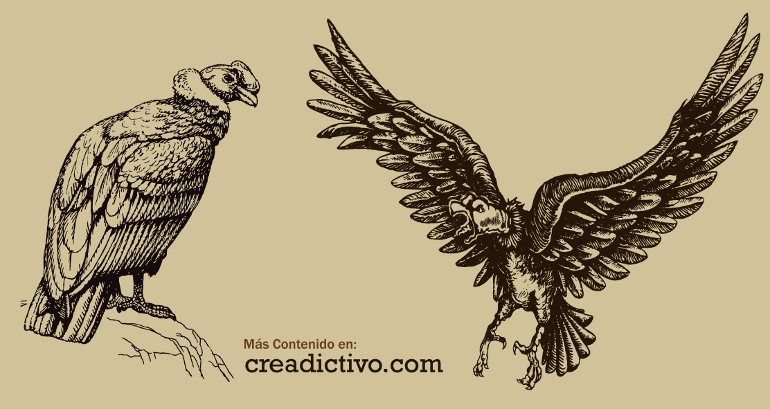 Condor Bolivia Vector para escudos